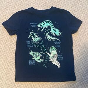 Lands End Navy Blue Graphic T-Shirt